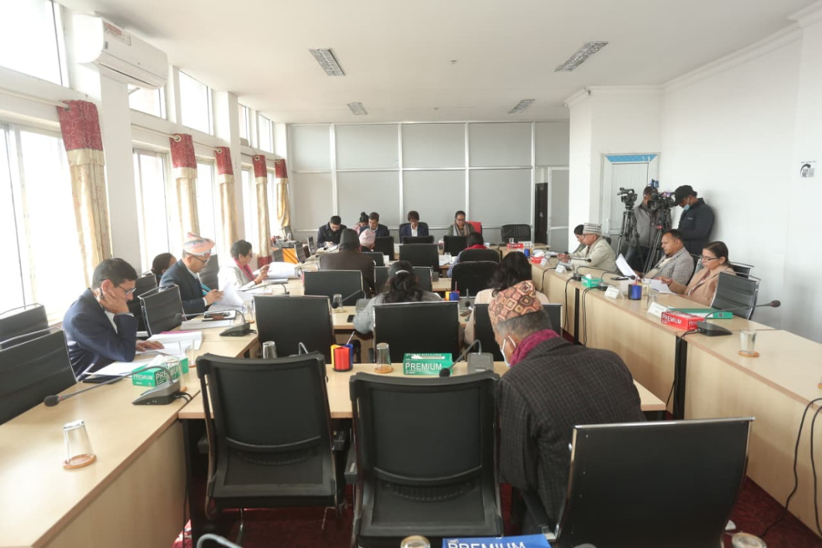 चलचित्र विधेयकको मस्यौदा प्रतिवेदन पारित