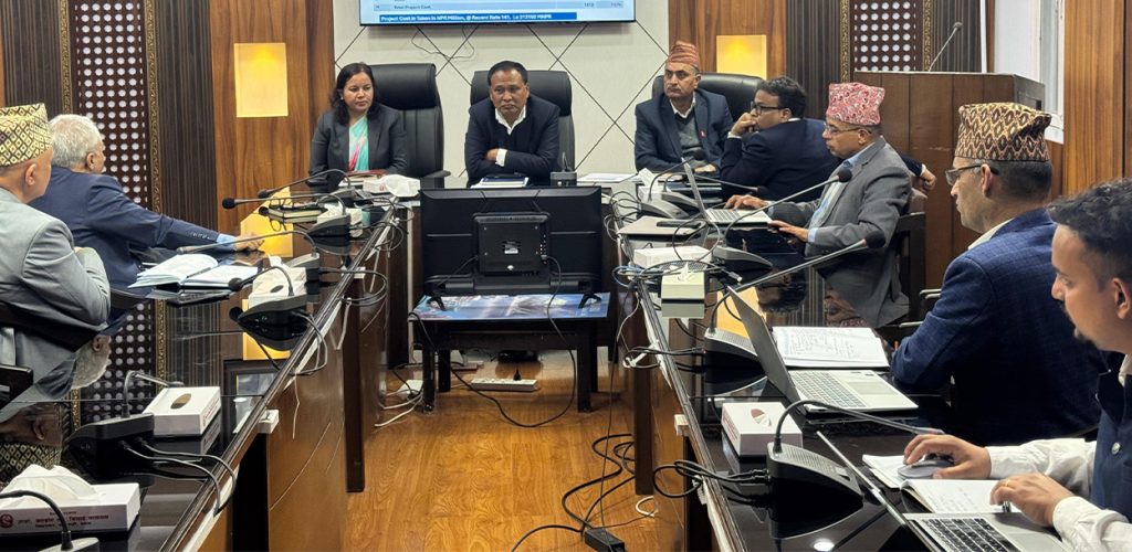 बूढीगण्डकी र अपर अरुणको लगानी मोडालिटी तयार