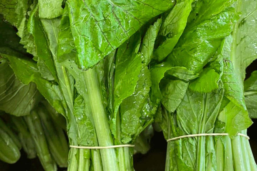 नागार्जुनमा उत्पादित रायोको सागमा ९९ प्रतिशत बढी विषादी