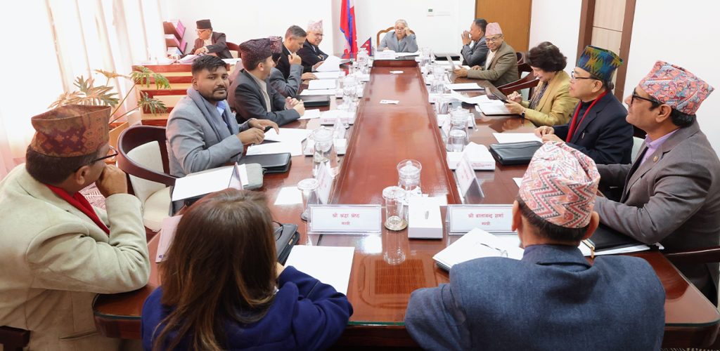 राजनीतिकमा लाग्न खोज्ने मन्त्रीहरूलाई तत्काल मन्त्री छोड्न प्रधानमन्त्रीको निर्देशन